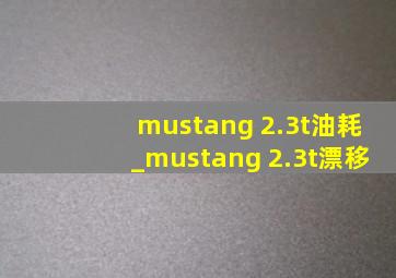 mustang 2.3t油耗_mustang 2.3t漂移